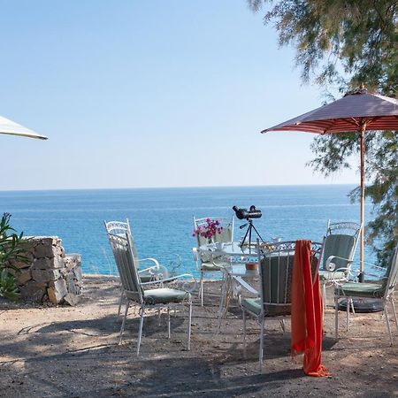 Margarita Apartments Ierápetra Dış mekan fotoğraf