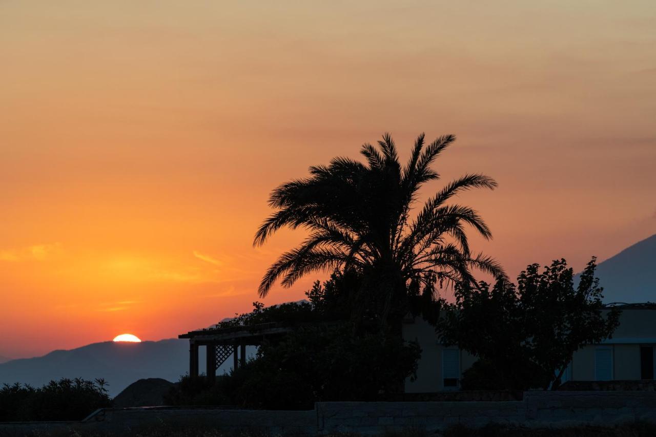 Margarita Apartments Ierápetra Dış mekan fotoğraf