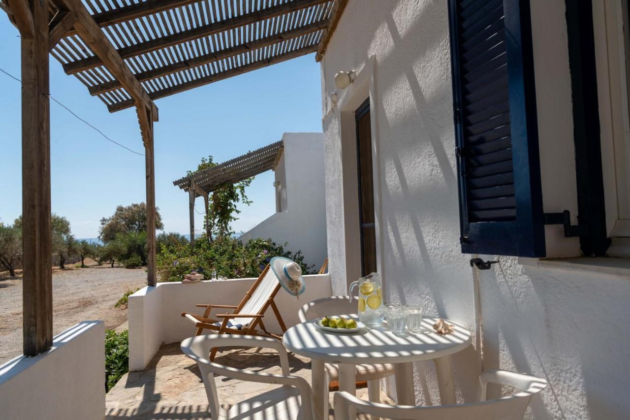 Margarita Apartments Ierápetra Dış mekan fotoğraf
