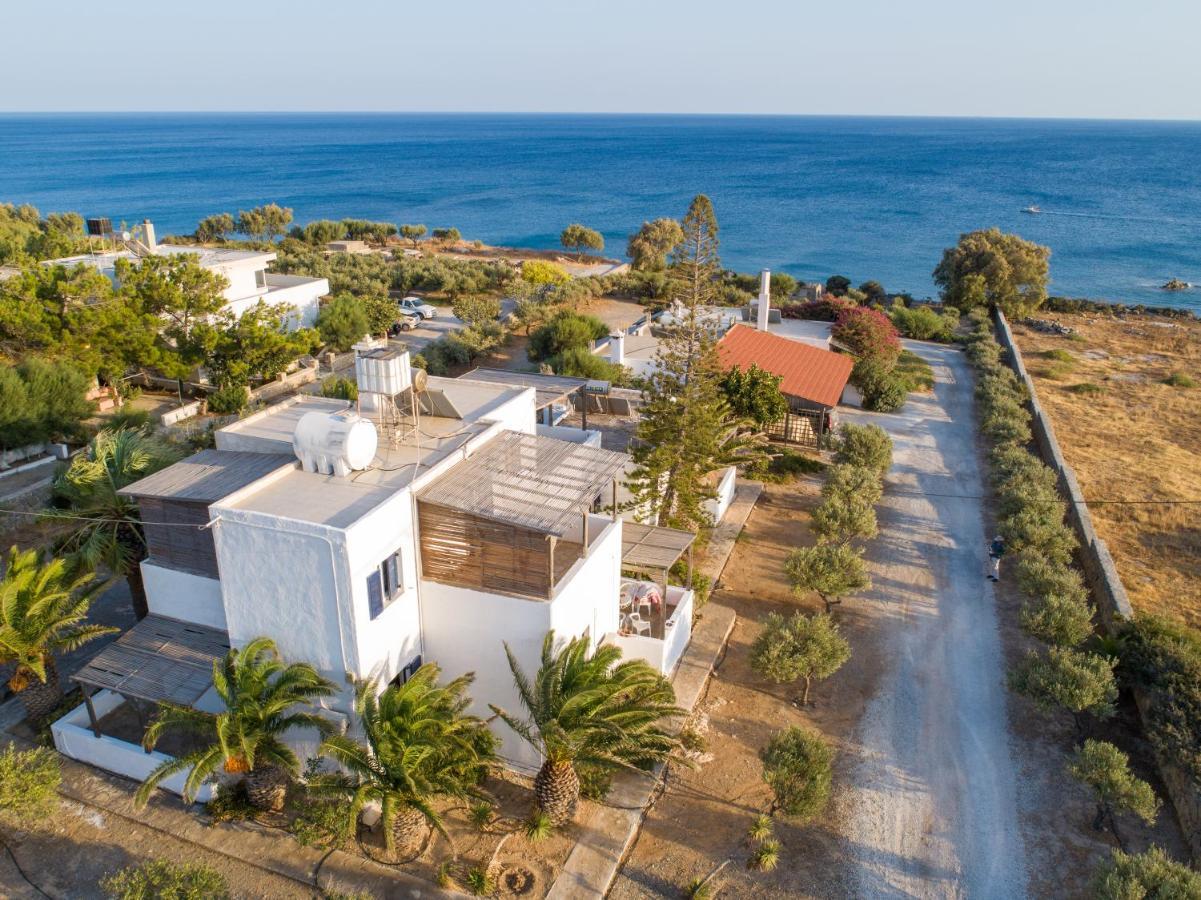 Margarita Apartments Ierápetra Dış mekan fotoğraf
