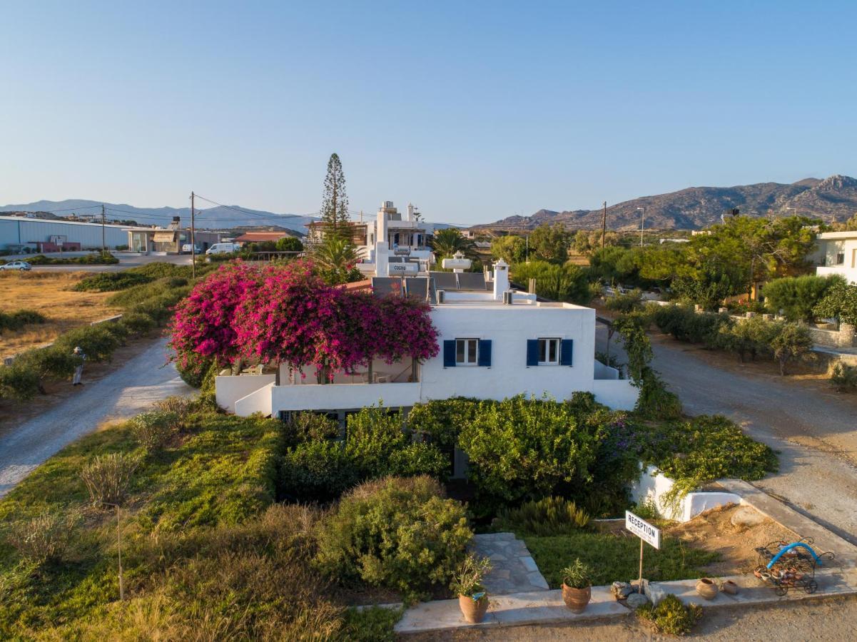 Margarita Apartments Ierápetra Dış mekan fotoğraf