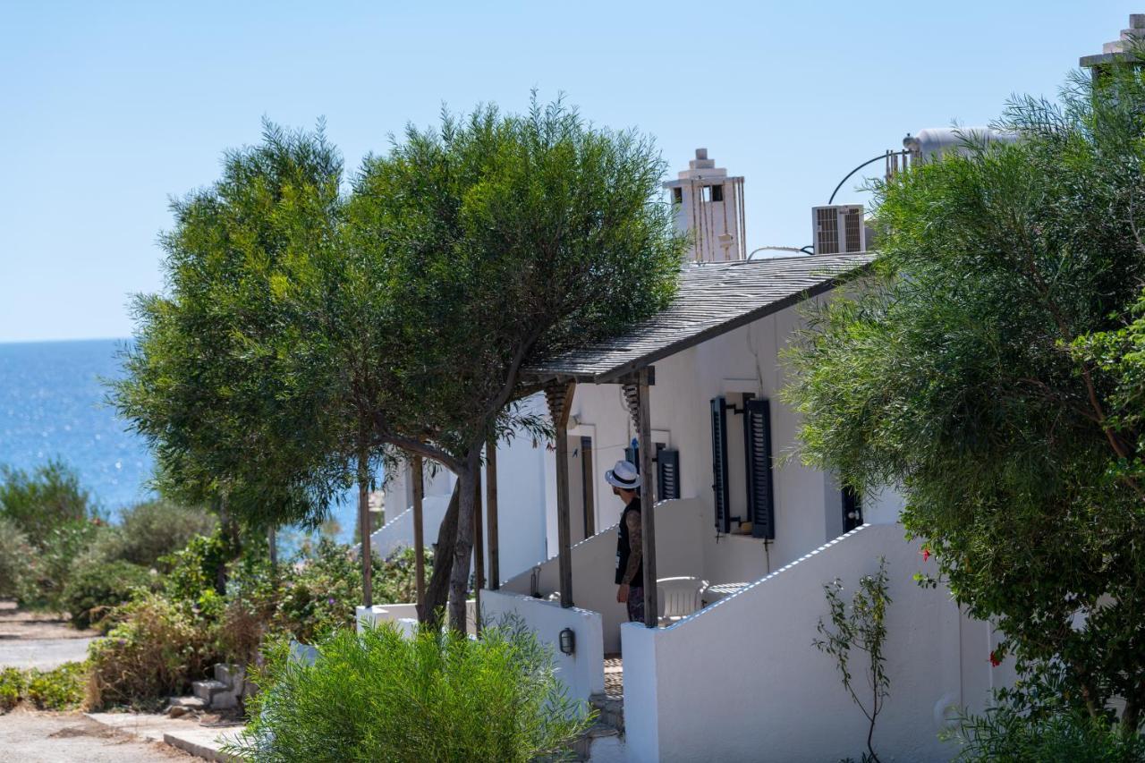 Margarita Apartments Ierápetra Dış mekan fotoğraf