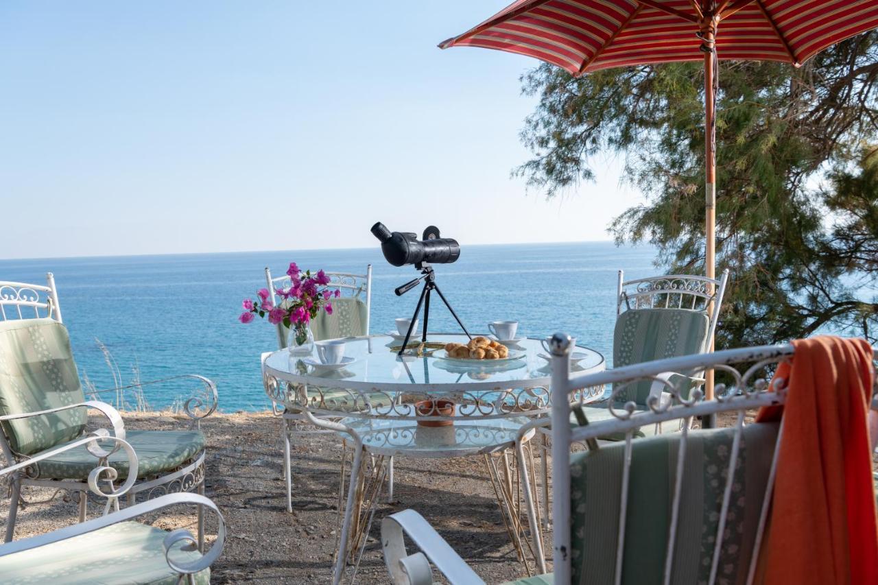 Margarita Apartments Ierápetra Dış mekan fotoğraf
