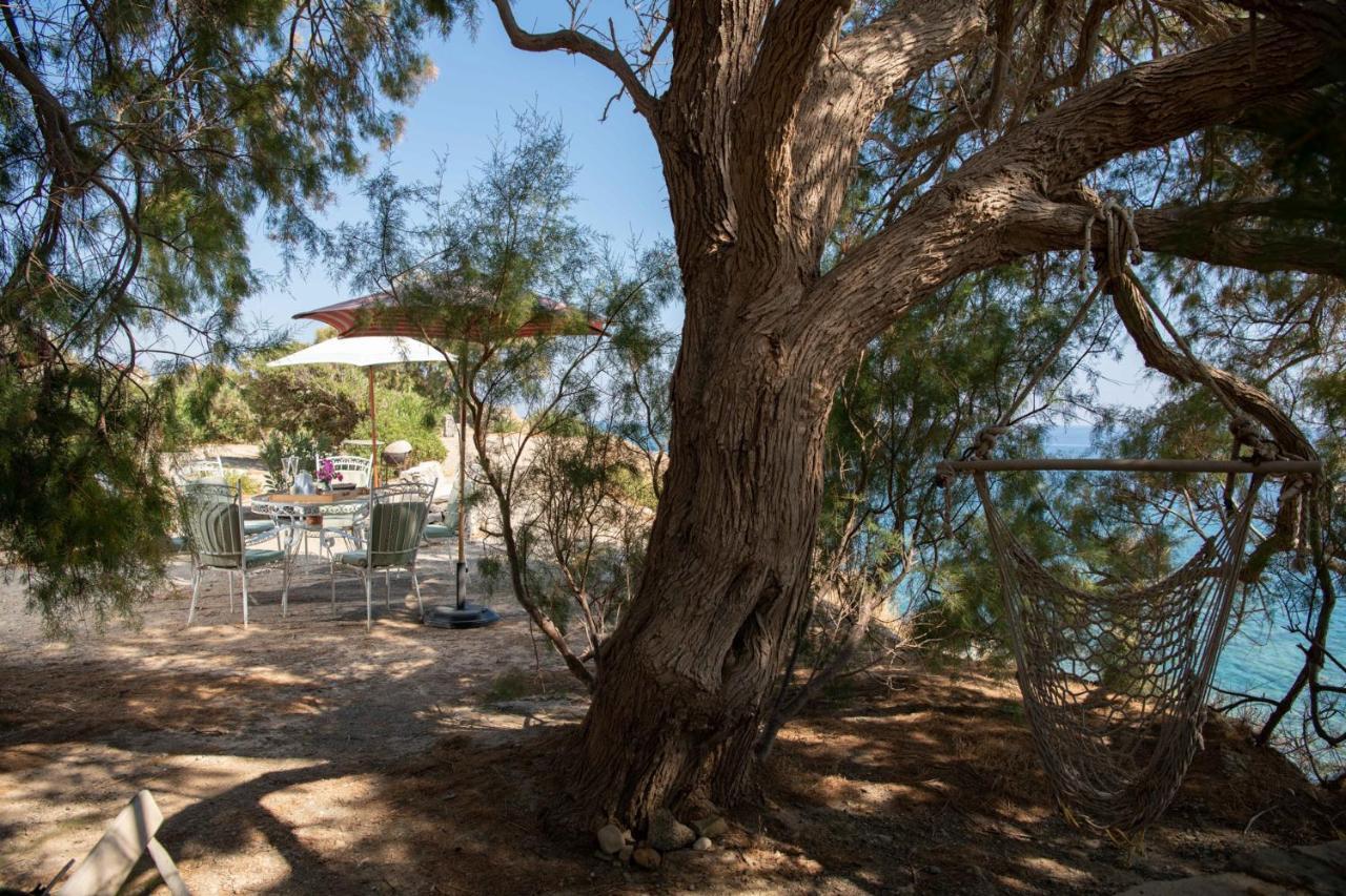 Margarita Apartments Ierápetra Dış mekan fotoğraf