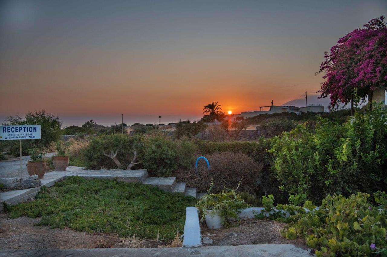 Margarita Apartments Ierápetra Dış mekan fotoğraf