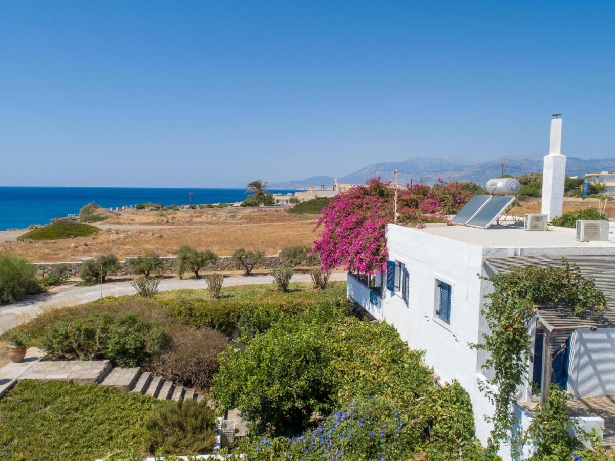 Margarita Apartments Ierápetra Dış mekan fotoğraf